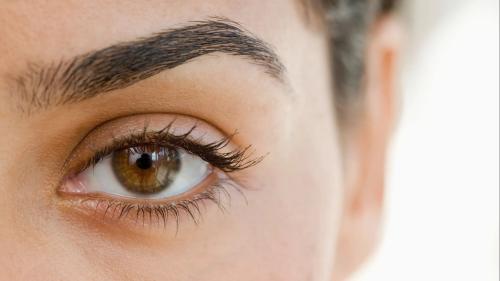 Un estudio revela que los genes definen la apariencia de las cejas