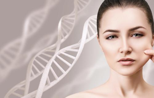 Es efectiva la cosmética con células madre para la piel?